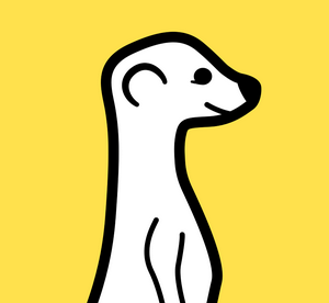 meerkat