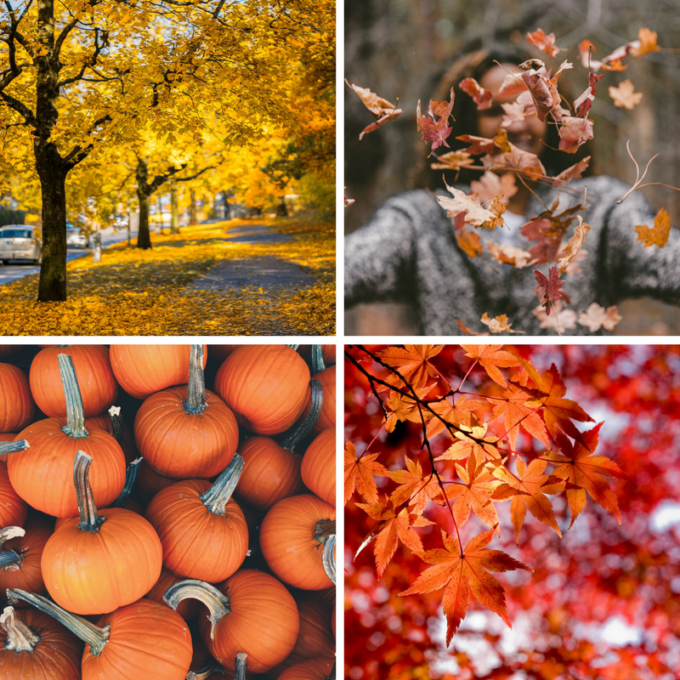 10 best free stock photos for autumn | RoseComm